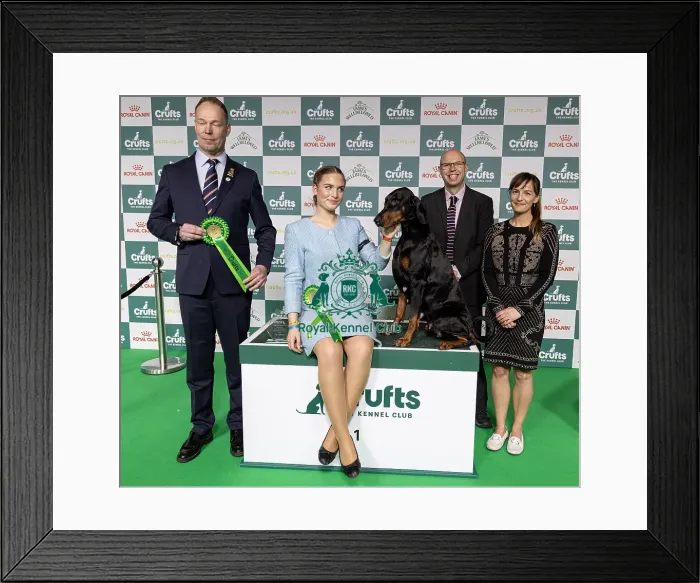 Framed Print : Joe Cartledge Memorial International Junior Handling Competition