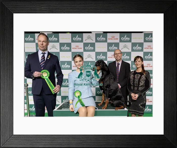 Framed Print : Joe Cartledge Memorial International Junior Handling Competition