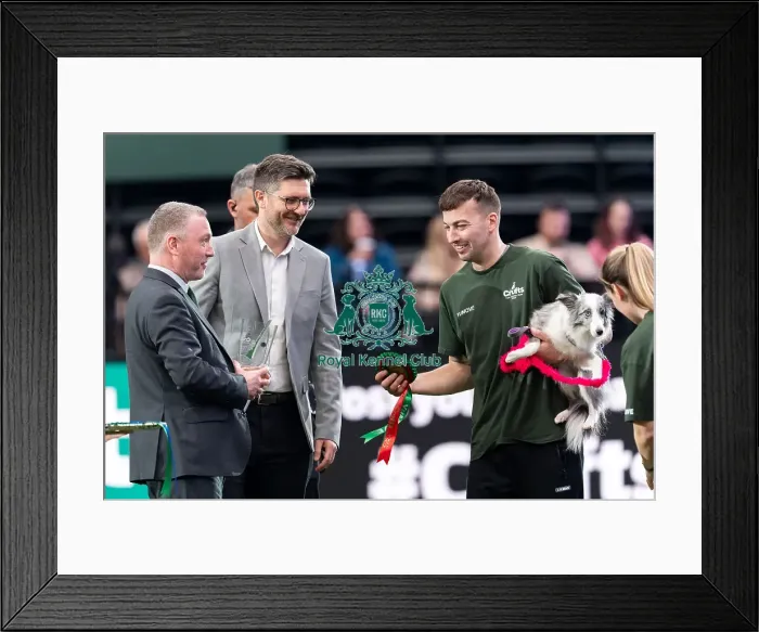 Framed Print : Steve Reed Sectretary of State for Environment Framed Print : Steve Reed Sectretary of State for Environment