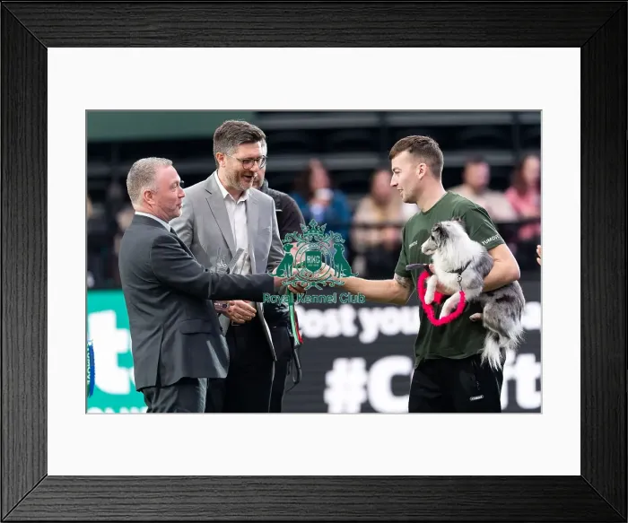 Framed Print : Steve Reed Sectretary of State for Environment Framed Print : Steve Reed Sectretary of State for Environment