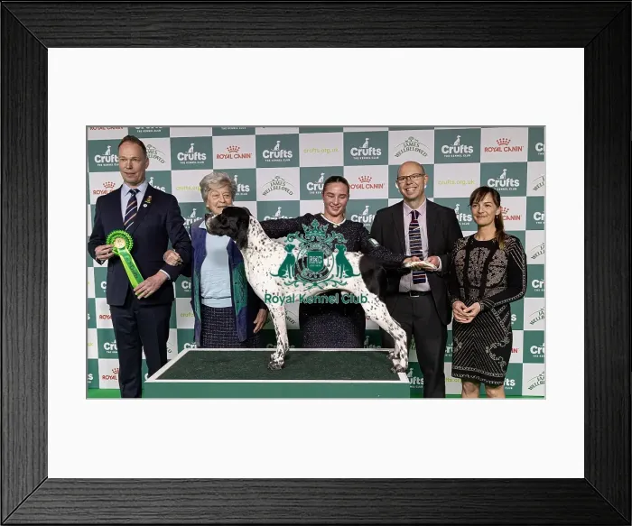 Framed Print : Joe Cartledge Memorial International Junior Handling Competition Framed Print : Joe Cartledge Memorial International Junior Handling Competition