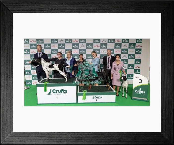 Framed Print : Joe Cartledge Memorial International Junior Handling Competition Framed Print : Joe Cartledge Memorial International Junior Handling Competition