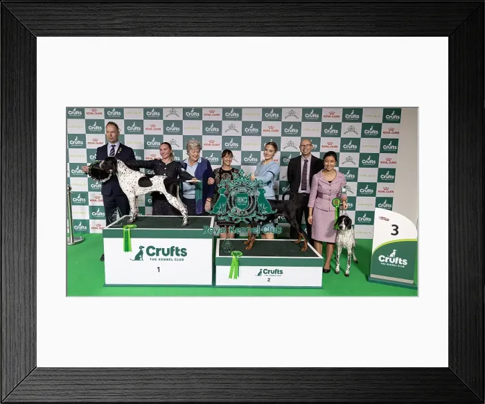 Framed Print : Joe Cartledge Memorial International Junior Handling Competition
