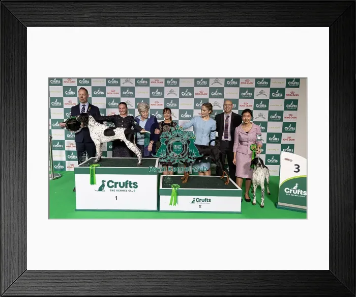 Framed Print : Joe Cartledge Memorial International Junior Handling Competition