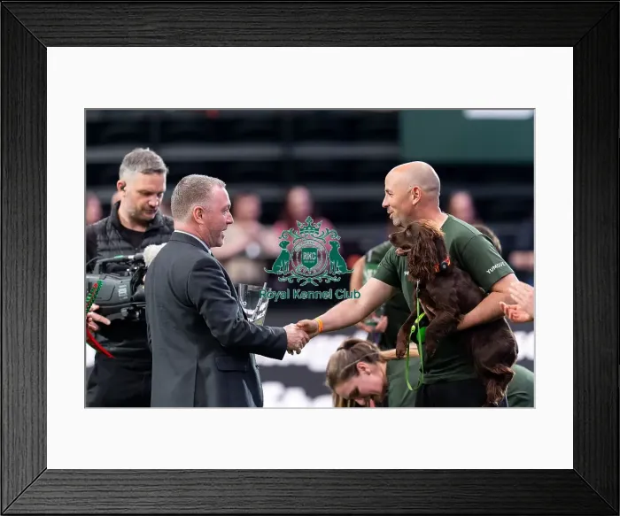 Framed Print : Steve Reed Sectretary of State for Environment Framed Print : Steve Reed Sectretary of State for Environment