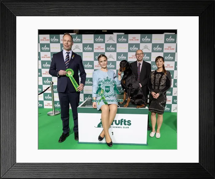 Framed Print : Joe Cartledge Memorial International Junior Handling Competition