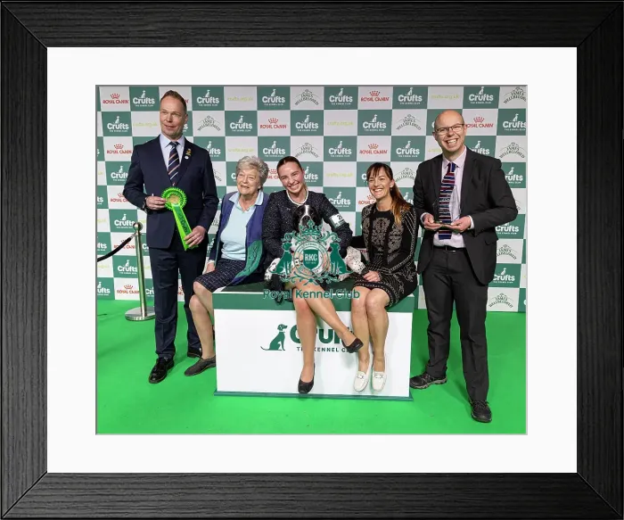 Framed Print : Joe Cartledge Memorial International Junior Handling Competition