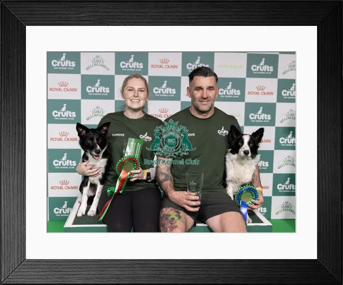 Framed Print : Agility Crufts Singles Final Intermediate Winner Naarah Caddy with Runbye gain Bananas Framed Print : Agility Crufts Singles Final Intermediate Winner Naarah Caddy with Runbye gain Bananas