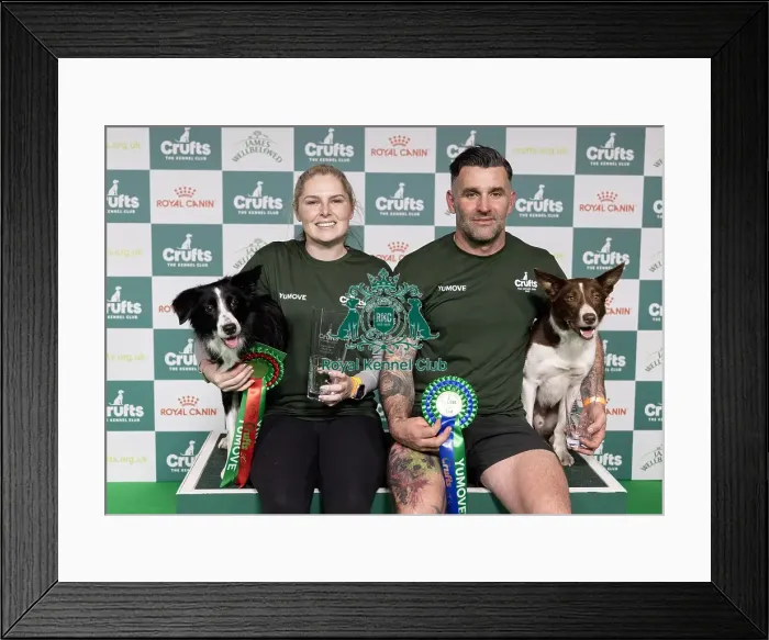 Framed Print : Agility Crufts Singles Final large Winner Naarah Cuddy with Dark Pleasure Framed Print : Agility Crufts Singles Final large Winner Naarah Cuddy with Dark Pleasure