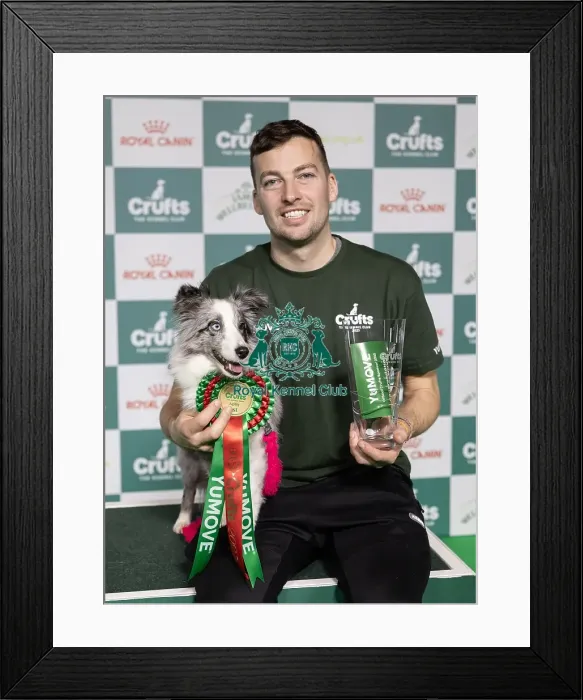Framed Print : Agility Crufts Singles Final Small Winner Martin Read with Get with it eager to work Framed Print : Agility Crufts Singles Final Small Winner Martin Read with Get with it eager to work