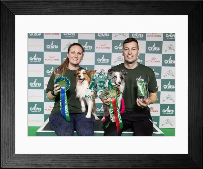 Framed Print : Agility Crufts Singles Final Small Winner Martin Read with Get with it eager to work Framed Print : Agility Crufts Singles Final Small Winner Martin Read with Get with it eager to work