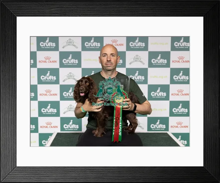 Framed Print : Agility Crufts Singles Final Medium Winner Jesus Fernandez Crespo with Spartan Worker Baileys