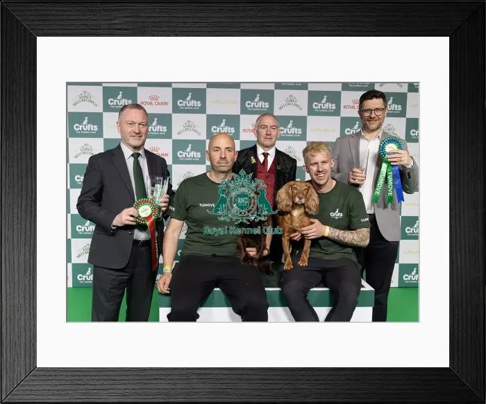 Framed Print : Agility Crufts Singles Final Medium Winner Jesus Fernandez Crespo with Spartan Worker Baileys