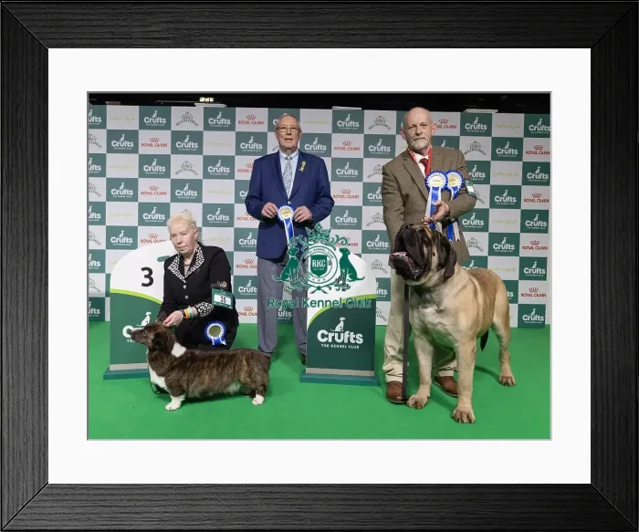 Framed Print : Vulnerable Breeds Competion 3rd placed Framed Print : Vulnerable Breeds Competion 3rd placed