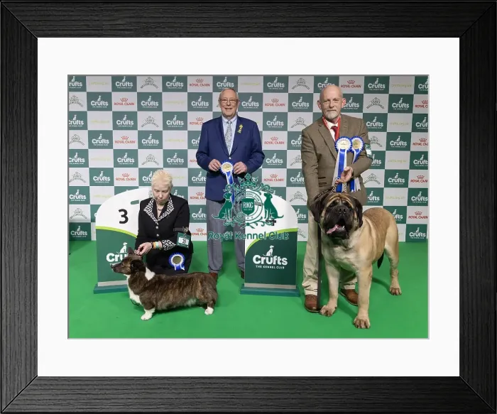 Framed Print : Vulnerable Breeds Competion 3rd placed