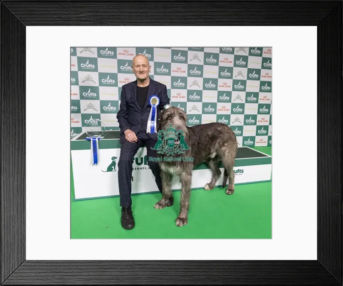 Framed Print : Vulnerable Breeds Competion Winner Roger Tebburtt with Tozzie an Irish Wolfhound Framed Print : Vulnerable Breeds Competion Winner Roger Tebburtt with Tozzie an Irish Wolfhound