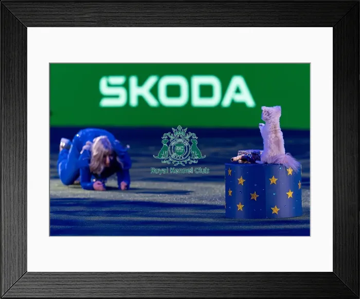 Framed Print : Lucy Heath Freestyle Heelwork to Music (Friday 07 / 03 / 25) Framed Print : Lucy Heath Freestyle Heelwork to Music (Friday 07 / 03 / 25)
