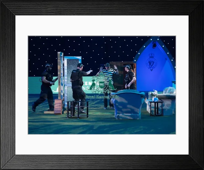 Framed Print : West Midlands Police Dog Unit Display in action Framed Print : West Midlands Police Dog Unit Display in action