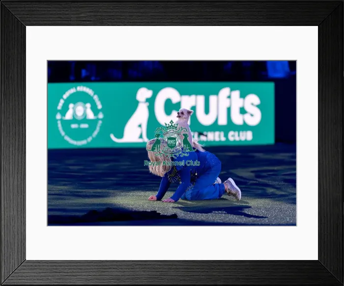 Framed Print : Lucy Heath Freestyle Heelwork to Music (Friday 07 / 03 / 25) Framed Print : Lucy Heath Freestyle Heelwork to Music (Friday 07 / 03 / 25)
