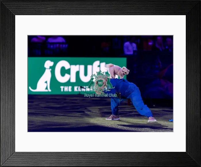 Framed Print : Lucy Heath Freestyle Heelwork to Music (Friday 07 / 03 / 25) Framed Print : Lucy Heath Freestyle Heelwork to Music (Friday 07 / 03 / 25)