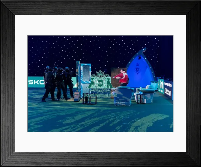 Framed Print : West Midlands Police Dog Unit Display in action Framed Print : West Midlands Police Dog Unit Display in action