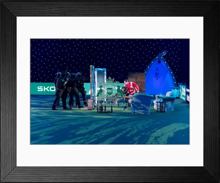 Framed Print : West Midlands Police Dog Unit Display in action Framed Print : West Midlands Police Dog Unit Display in action