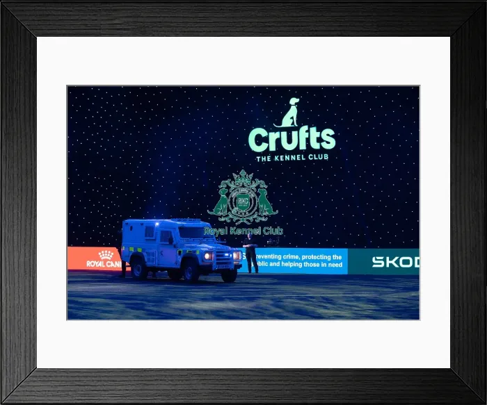 Framed Print : West Midlands Police Dog Unit Display in action Framed Print : West Midlands Police Dog Unit Display in action