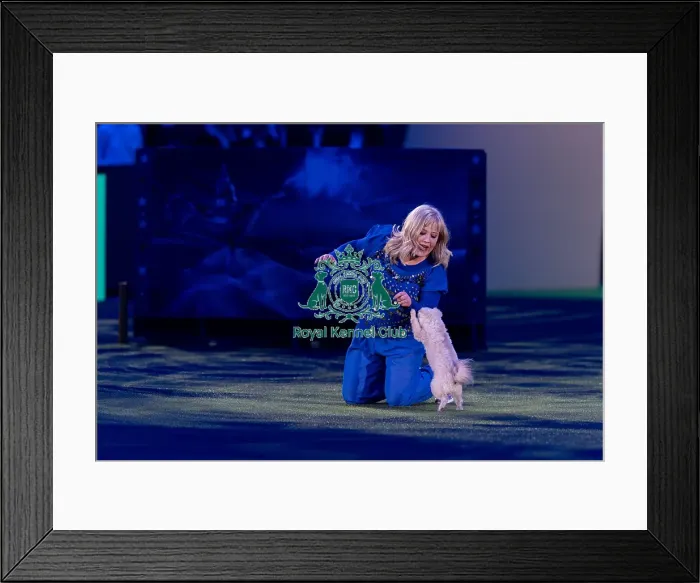 Framed Print : Lucy Heath Freestyle Heelwork to Music (Friday 07 / 03 / 25) Framed Print : Lucy Heath Freestyle Heelwork to Music (Friday 07 / 03 / 25)
