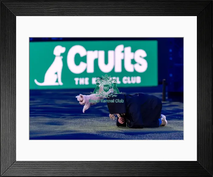 Framed Print : Lucy Heath Freestyle Heelwork to Music (Friday 07 / 03 / 25) Framed Print : Lucy Heath Freestyle Heelwork to Music (Friday 07 / 03 / 25)