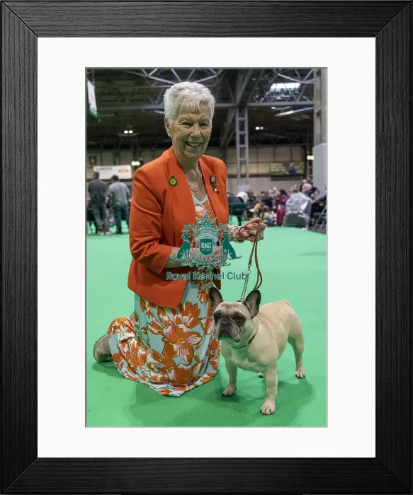 Framed Print : Jackie Mavro-Micaelis with Nono a French Bulldog who was competing today (Friday 07 / 03 / 25)