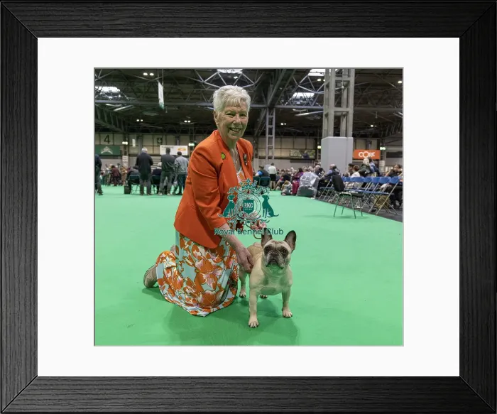 Framed Print : Jackie Mavro-Micaelis with Nono a French Bulldog who was competing today (Friday 07 / 03 / 25)