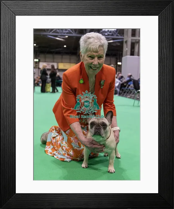 Framed Print : Jackie Mavro-Micaelis with Nono a French Bulldog who was competing today (Friday 07 / 03 / 25)