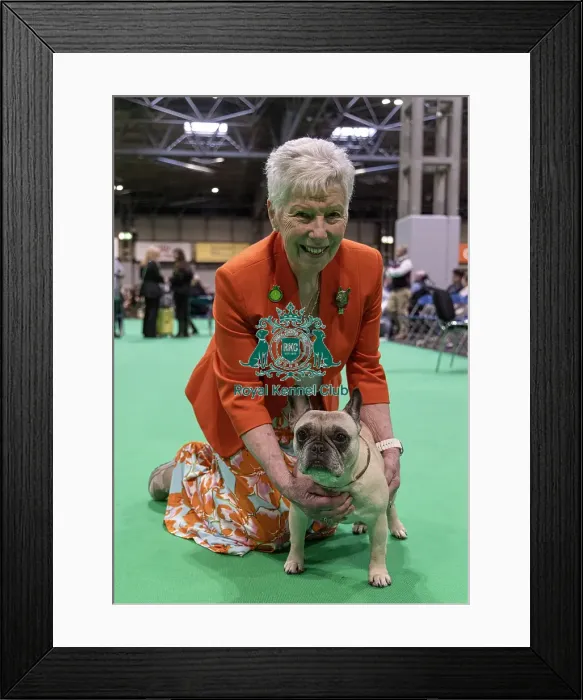 Framed Print : Jackie Mavro-Micaelis with Nono a French Bulldog who was competing today (Friday 07 / 03 / 25)
