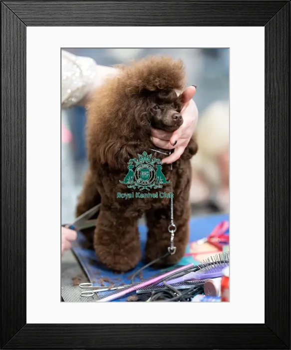 Framed Print : Kat Watkins from Somerset with Banksy Framed Print : Kat Watkins from Somerset with Banksy