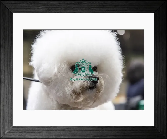 Framed Print : Sharon Walton From Cornwall with Lilybeth
