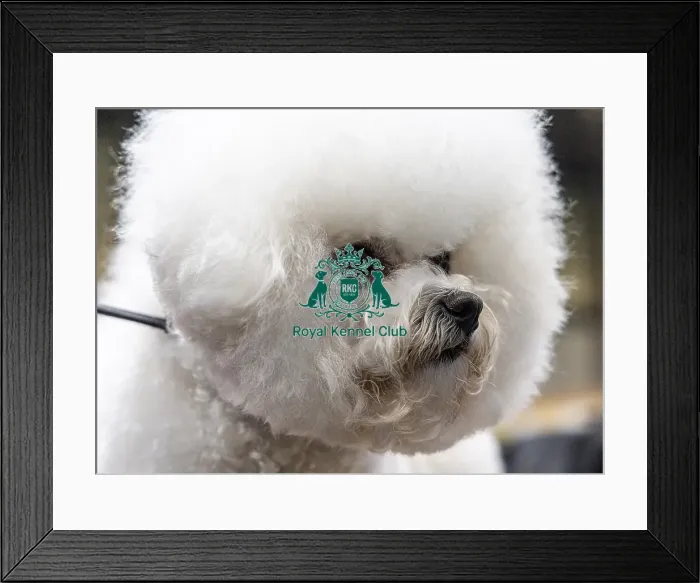 Framed Print : Sharon Walton From Cornwall with Lilybeth
