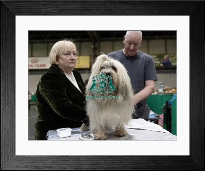 Framed Print : Carol Kirby from Liverpool with Woody Woodpecker