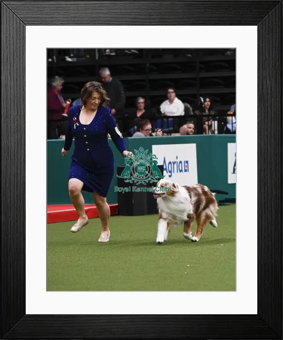 Framed Print : Sarah Bothwell from Ayrshire, with Brodie winner of the Junior Warrent Final (Thursday 06 / 03 / 25) Framed Print : Sarah Bothwell from Ayrshire, with Brodie winner of the Junior Warrent Final (Thursday 06 / 03 / 25)