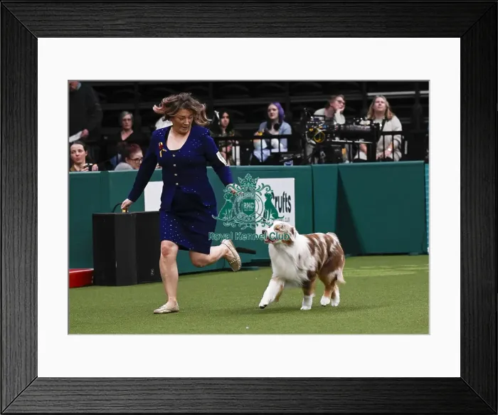 Framed Print : Sarah Bothwell from Ayrshire, with Brodie winner of the Junior Warrent Final (Thursday 06 / 03 / 25) Framed Print : Sarah Bothwell from Ayrshire, with Brodie winner of the Junior Warrent Final (Thursday 06 / 03 / 25)
