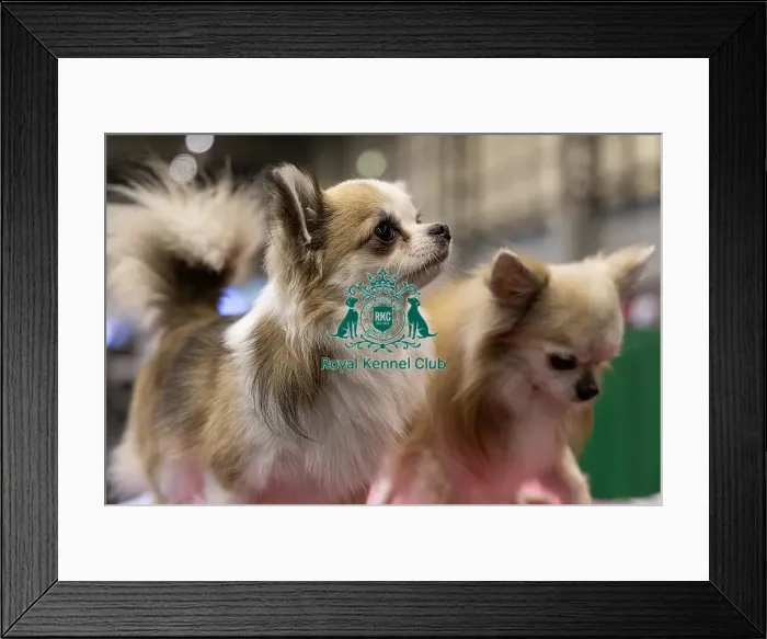 Framed Print : James Sangster from Auchterarder