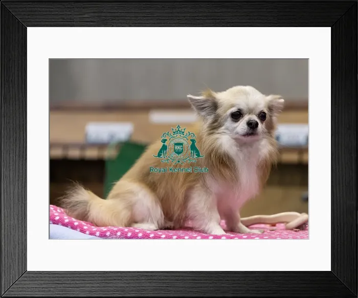 Framed Print : James Sangster from Auchterarder Framed Print : James Sangster from Auchterarder