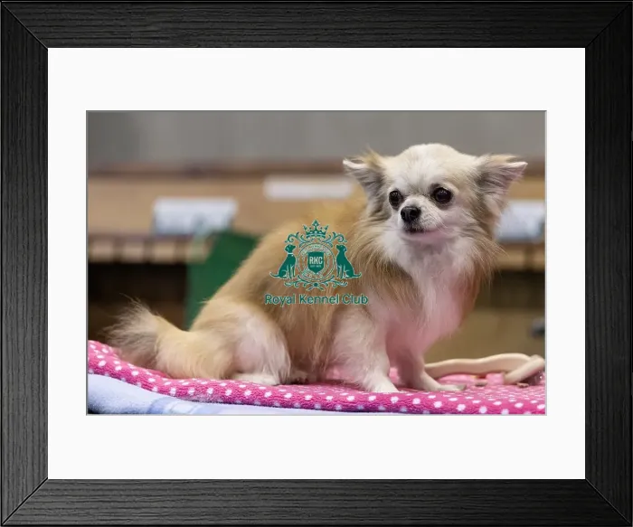 Framed Print : James Sangster from Auchterarder
