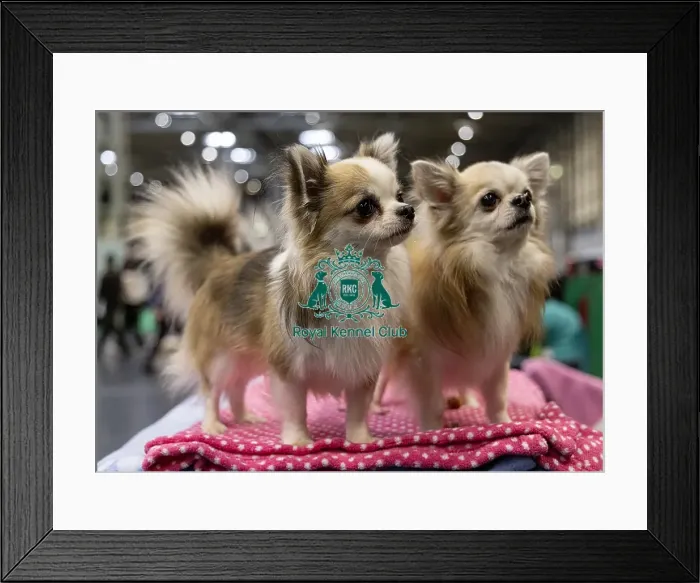 Framed Print : James Sangster from Auchterarder Framed Print : James Sangster from Auchterarder