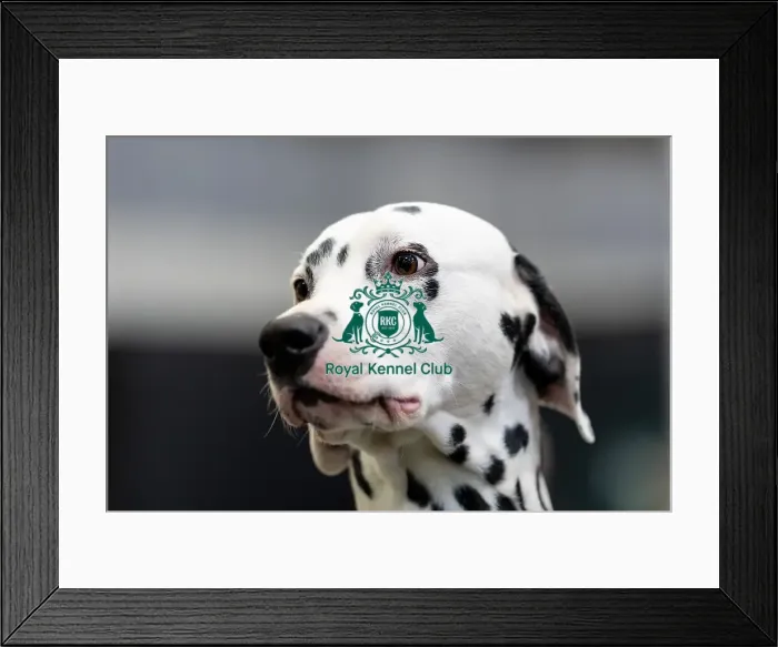 Framed Print : Mrs Wootton from Leicester with Nuxor Framed Print : Mrs Wootton from Leicester with Nuxor