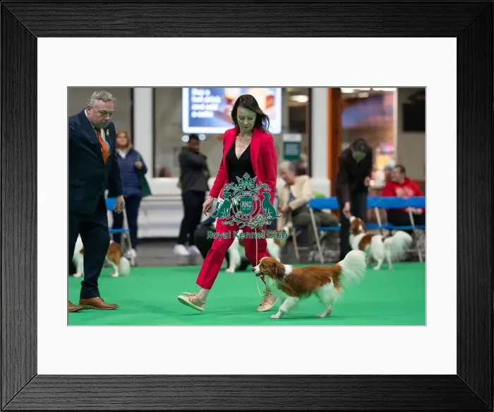 Framed Print : Misss Williams from Stourbridge with Gladsheim Veritas Framed Print : Misss Williams from Stourbridge with Gladsheim Veritas