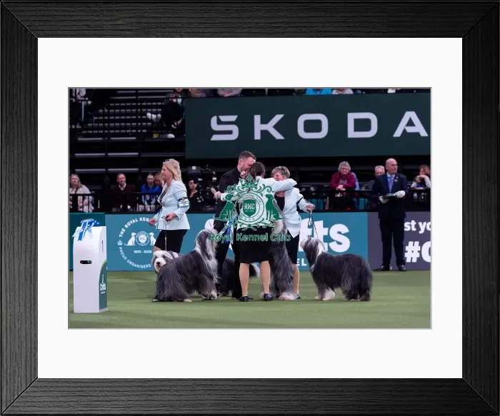 Framed Print : Ms R Salter with the Irisaddition Bearded Collie team winners of the Breeders competition final