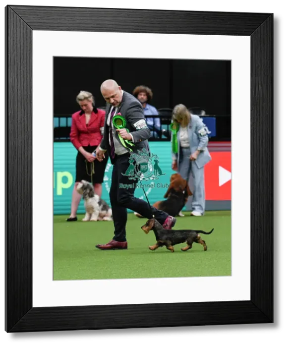 Framed Print : Arena Group Judging - Hounds