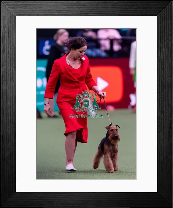 Framed Print : Ms C Cole with Ch Perrisblu The Phantom
