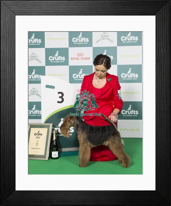 Framed Print : Ms C Cole with Ch Perrisblu The Phantom