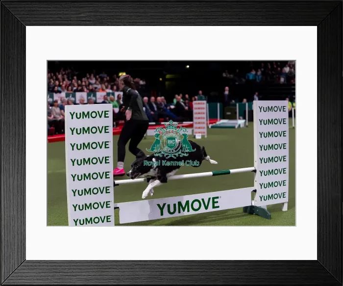 Framed Print : Naarah Cuddy & Banana (Runbye Goin Bananas) Framed Print : Naarah Cuddy & Banana (Runbye Goin Bananas)